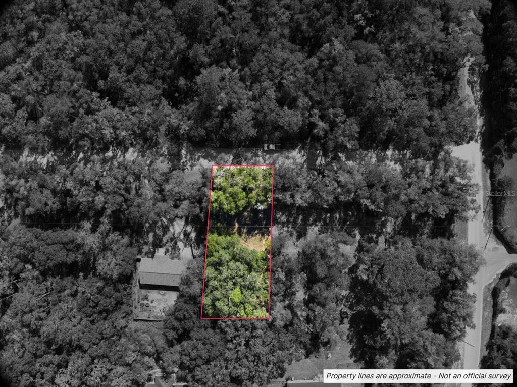 An aerial view shows a rectangular plot of land outlined in red amidst dense trees — Lot #1 ST PATRICK DRIVE, DUNNELLON, FL