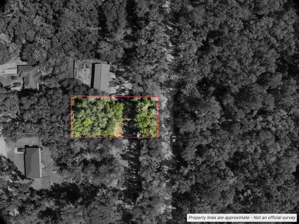 An aerial view shows a rectangular plot of land outlined in red amidst dense trees — Lot #1 ST PATRICK DRIVE, DUNNELLON, FL