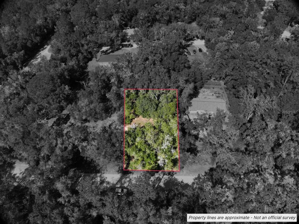 An aerial view shows a rectangular, wooded plot of land outlined in red — Lot #1 ST PATRICK DRIVE, DUNNELLON, FL