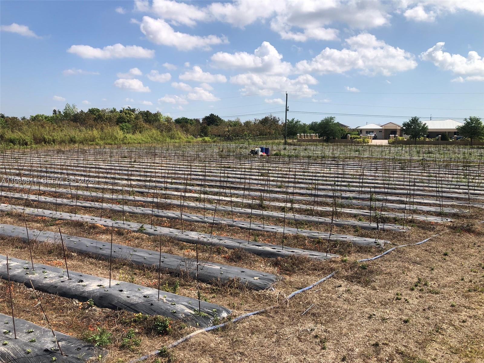 A large agricultural field features rows of plastic-covered planting beds with vertical support stakes — 19550 SW 207 Ave, Miami FL 33187, MIAMI, FL
