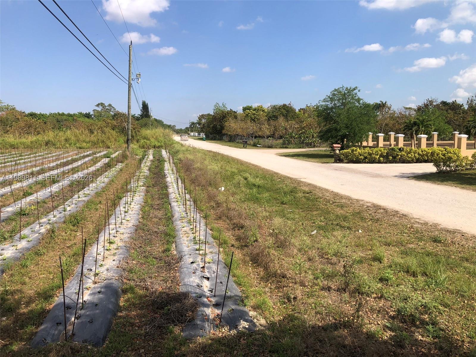 A gravel road runs alongside a field with rows of plants covered in black plastic — 19550 SW 207 Ave, Miami FL 33187, MIAMI, FL