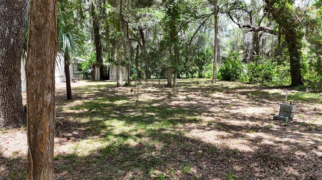A wooded backyard features a small lattice structure and a concrete block base on grass — 11310 W YELLOW OAK LANE, CRYSTAL RIVER, FL