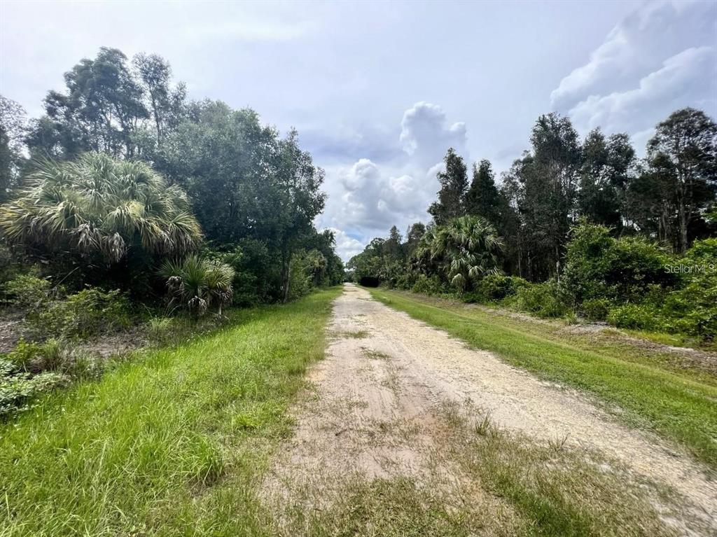 A dirt road stretches through a wooded area under a cloudy sky — 12593 GUCCI DRIVE, PUNTA GORDA, FL
