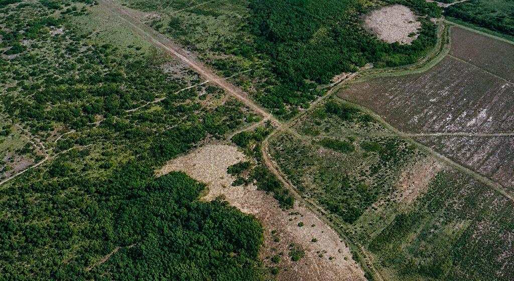An aerial view shows a rural landscape with patches of forest, cleared land, and dirt paths — 60 E STREET, LAKE WALES, FL