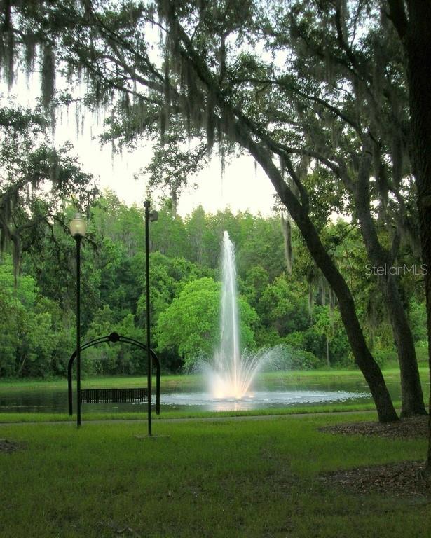 A water fountain sprays into a pond surrounded by trees and a park bench — 5100 BURCHETTE ROAD UNIT 3802, TAMPA, FL
