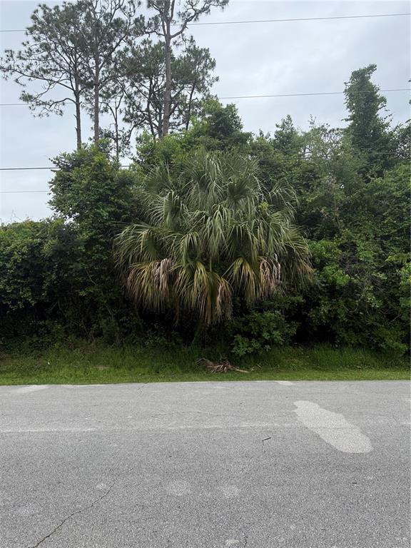38 SQUASH BLOSSOM TRAIL