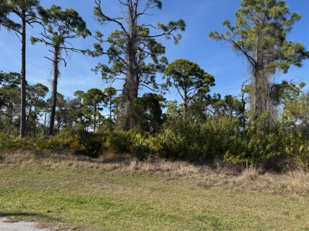A grassy lot features a dense line of pine trees and low-lying shrubs under blue sky — 102 BERYL DRIVE, ROTONDA WEST, FL