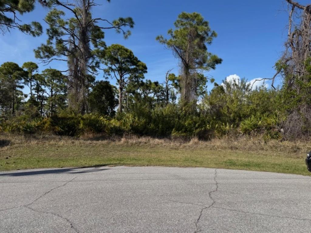 A paved cul-de-sac borders a vacant, wooded lot with tall pine trees under a blue sky — 102 BERYL DRIVE, ROTONDA WEST, FL