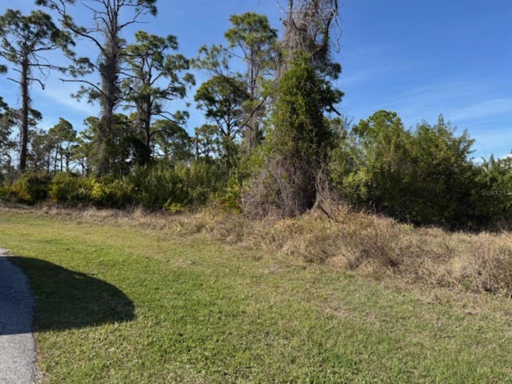 A grassy area leads to a dense line of trees and shrubs under a blue sky — 102 BERYL DRIVE, ROTONDA WEST, FL