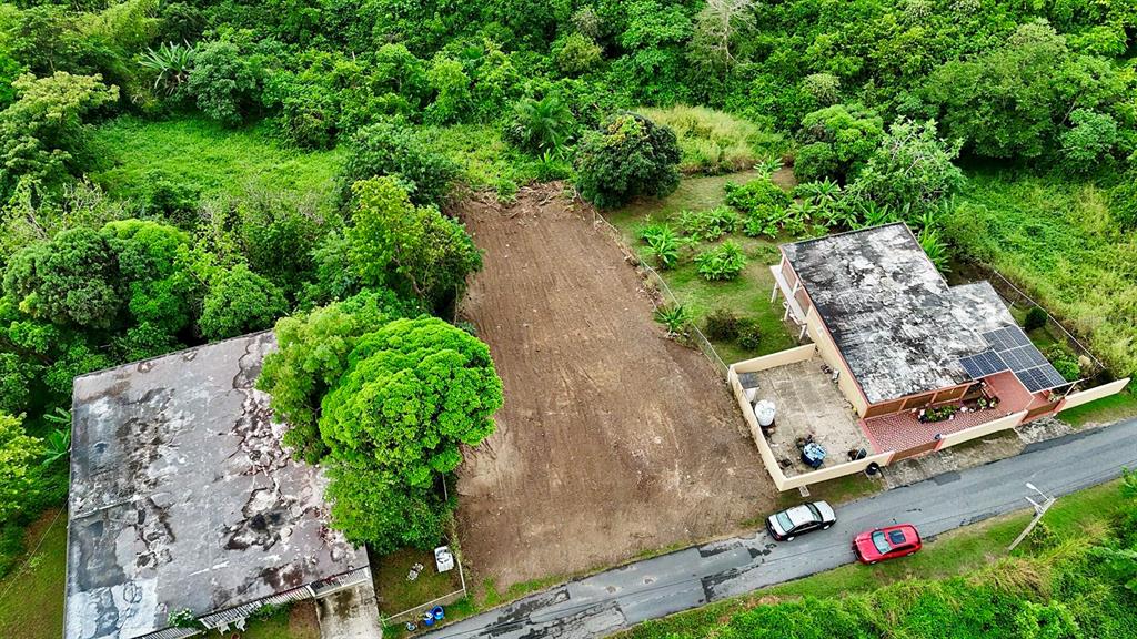 An aerial view shows two houses separated by a cleared, dirt-covered lot near a road — BO. BUENA VISTA UNIT 7, HUMACAO, PR