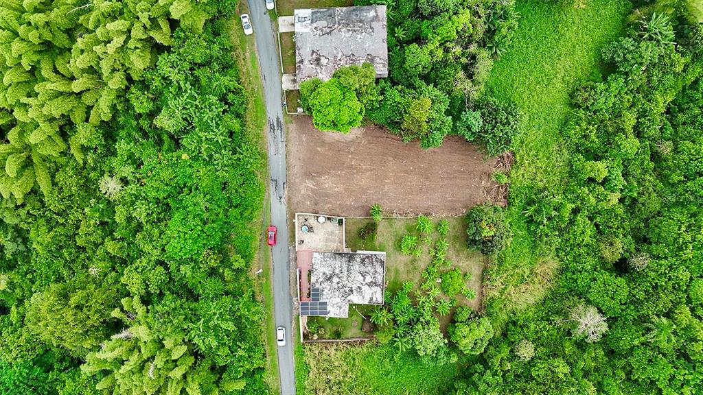 An aerial view shows a house and a cleared lot beside a road amidst trees — BO. BUENA VISTA UNIT 7, HUMACAO, PR