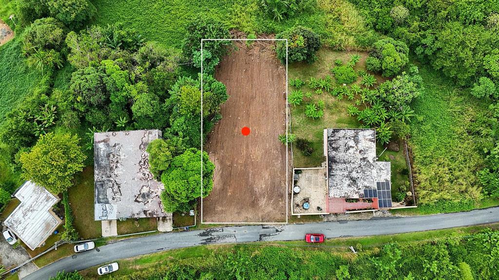 An aerial view shows a rectangular cleared dirt lot situated between two houses and trees — BO. BUENA VISTA UNIT 7, HUMACAO, PR