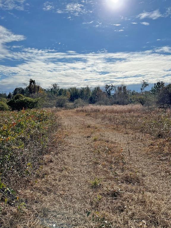 A dirt path leads through a grassy field toward a line of trees under a sky — 00 SW CR 249, JASPER, FL