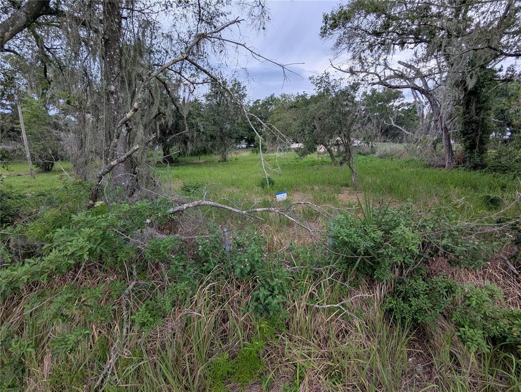 0 CENTRAL AVENUE, MULBERRY, FL — photo 3 of 6