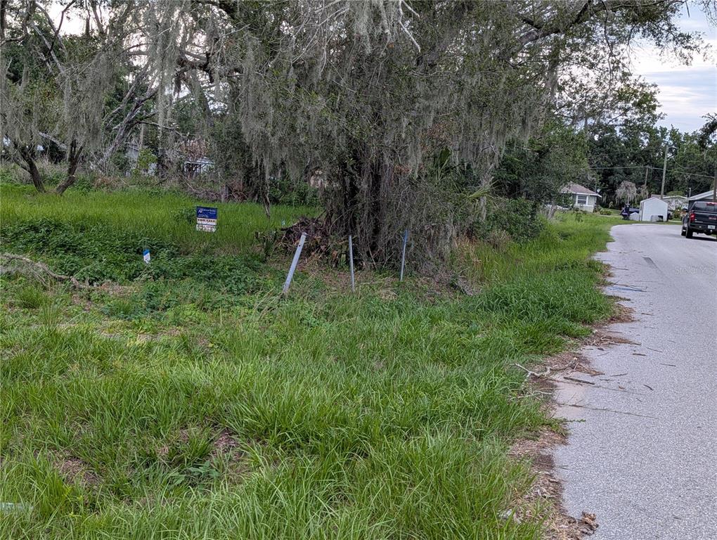 0 CENTRAL AVENUE, MULBERRY, FL — photo 4 of 6