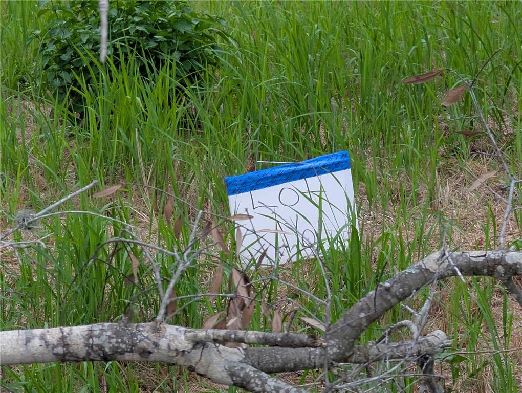 0 CENTRAL AVENUE, MULBERRY, FL — photo 5 of 6