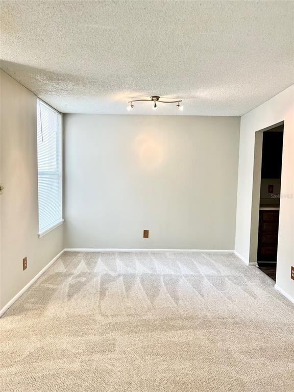 A carpeted dining room features a light-colored wall, a window with blinds, and a ceiling light — 506 ORANGE DRIVE UNIT 15, ALTAMONTE SPRINGS, FL