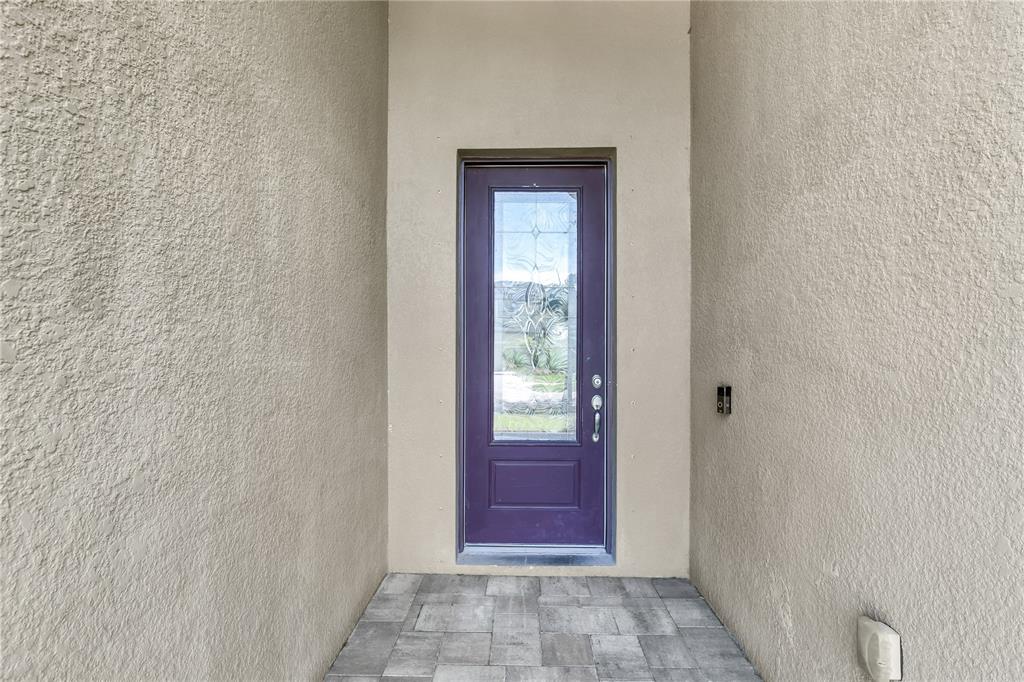 A purple front door with a glass insert is set into a beige stucco entryway — 12514 BALLENTRAE FOREST DRIVE, RIVERVIEW, FL