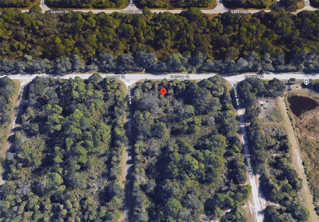 This aerial map view shows a wooded, undeveloped lot marked with a red pin — 18205 SAVAGE AVENUE, PORT CHARLOTTE, FL