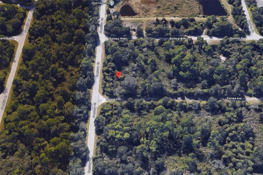 This is an aerial map view of a wooded, undeveloped residential lot — 18205 SAVAGE AVENUE, PORT CHARLOTTE, FL