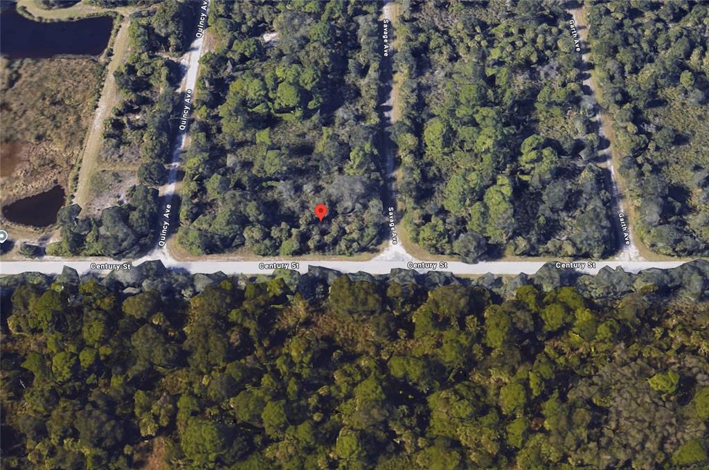An aerial map view shows a wooded lot marked with a red pin near streets — 18205 SAVAGE AVENUE, PORT CHARLOTTE, FL