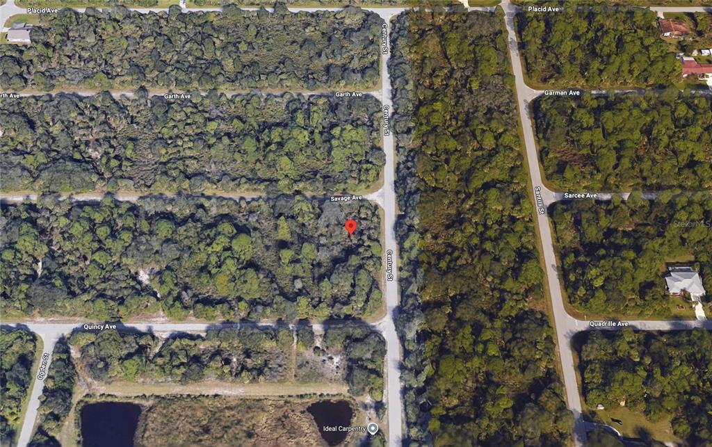 This aerial map shows a wooded, undeveloped residential lot located at a street intersection — 18205 SAVAGE AVENUE, PORT CHARLOTTE, FL