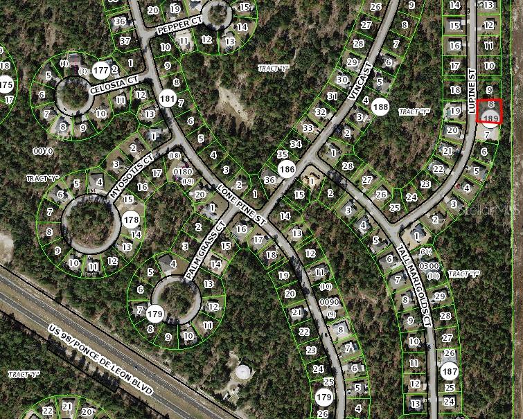 This is a satellite map view of a residential neighborhood with streets and lot lines — 16 LUPINE STREET, HOMOSASSA, FL