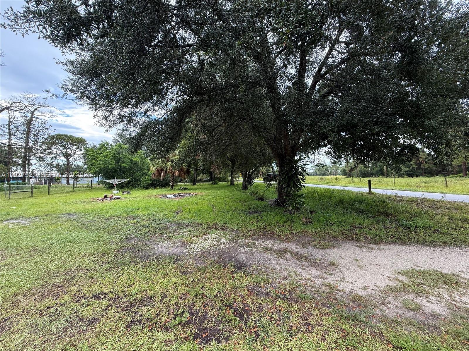 A large tree shades a grassy yard next to a paved road — 323 Jordan Ter, Okeechobee FL 34974, OKEECHOBEE, FL