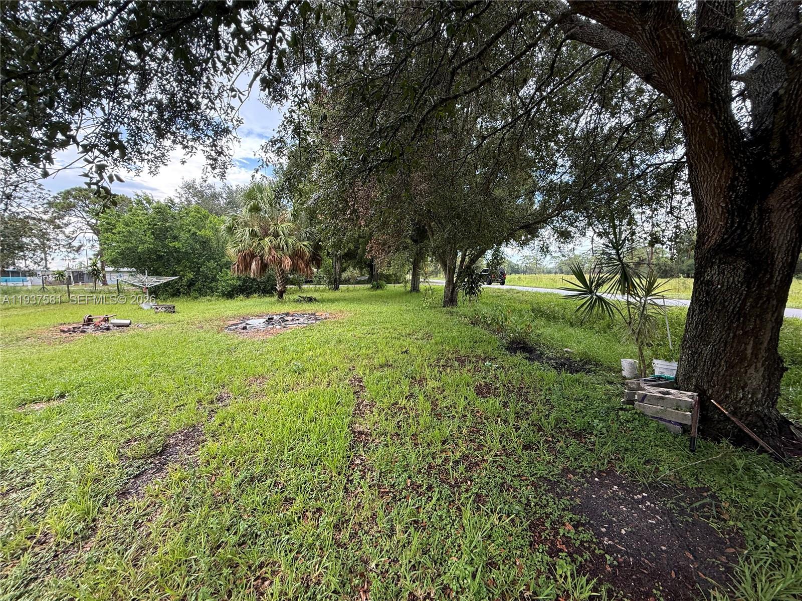 A grassy yard features large trees, a palm tree, and some scattered debris — 323 Jordan Ter, Okeechobee FL 34974, OKEECHOBEE, FL