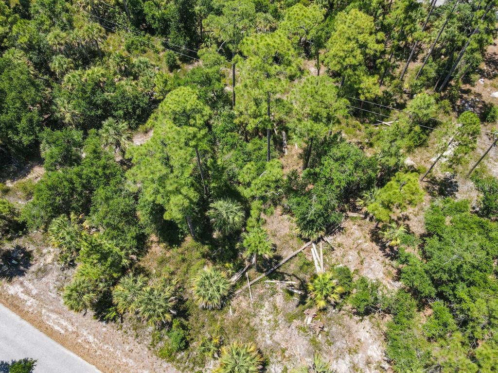 An aerial view shows a wooded lot with pine trees and palmettos near a road — 17428 IAGO AVENUE, PORT CHARLOTTE, FL