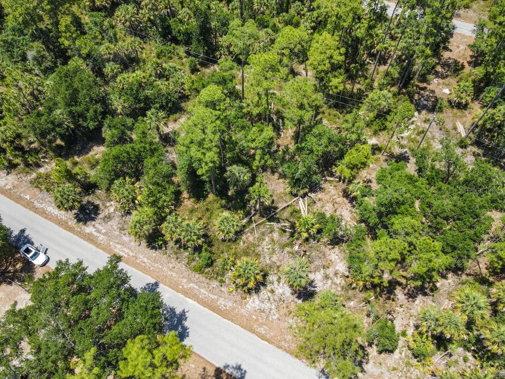An aerial view shows a wooded, undeveloped lot bordering a paved road — 17428 IAGO AVENUE, PORT CHARLOTTE, FL