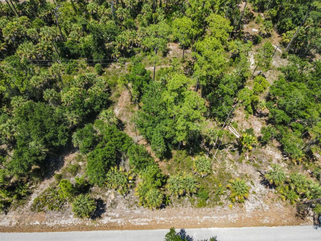 An aerial view shows a wooded, undeveloped lot bordering a paved road — 17428 IAGO AVENUE, PORT CHARLOTTE, FL