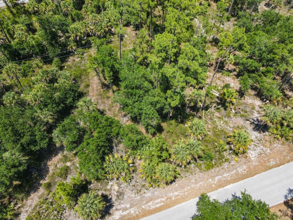 An aerial view of a wooded, undeveloped lot with a dirt road in the foreground — 17428 IAGO AVENUE, PORT CHARLOTTE, FL