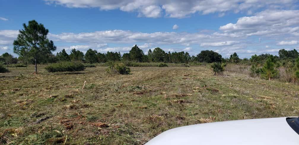 A wide, cleared grassy field with scattered trees under a blue sky with clouds — 16963 NW 292nd Street, Okeechobee FL 34972, OKEECHOBEE, FL