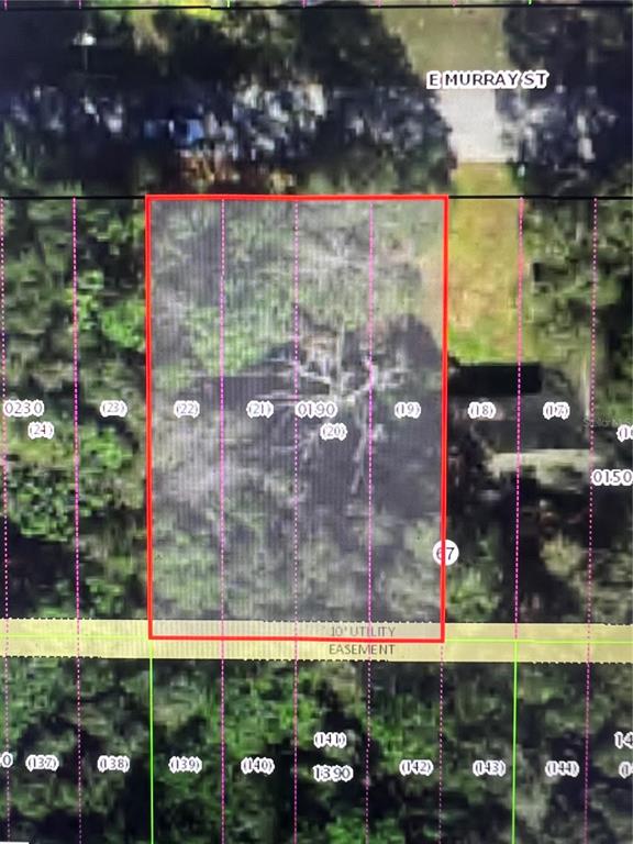 This is a map showing a rectangular plot of land highlighted in red — 3404 E MURRAY STREET, INVERNESS, FL