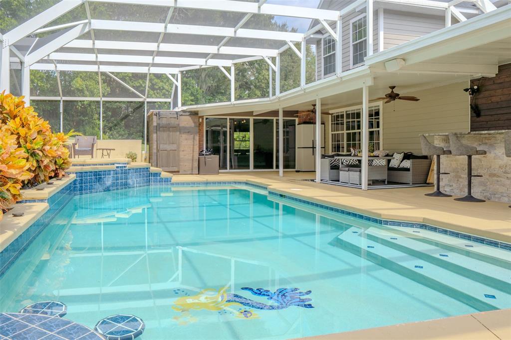 A screened-in swimming pool with a tiled mosaic and an adjacent outdoor patio area — 33721 SPRING DRIVE, LEESBURG, FL