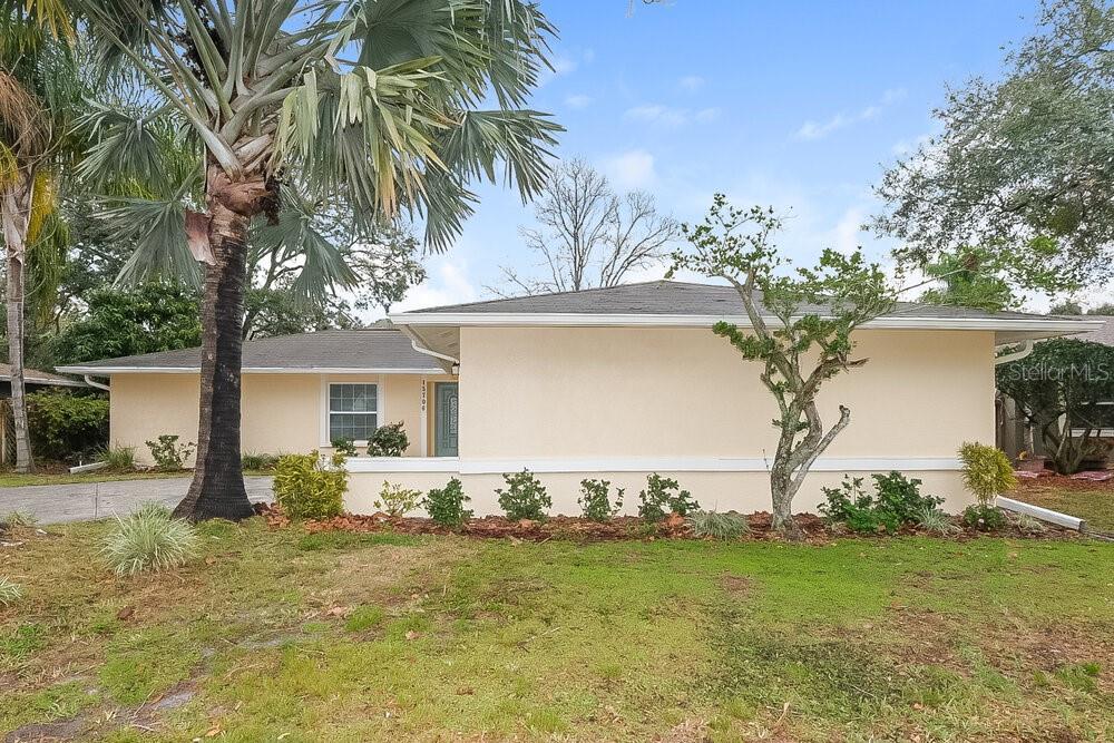 A single-story house with a light-colored exterior, a palm tree, and a front yard — 15709 SQUIRREL TREE PLACE, TAMPA, FL