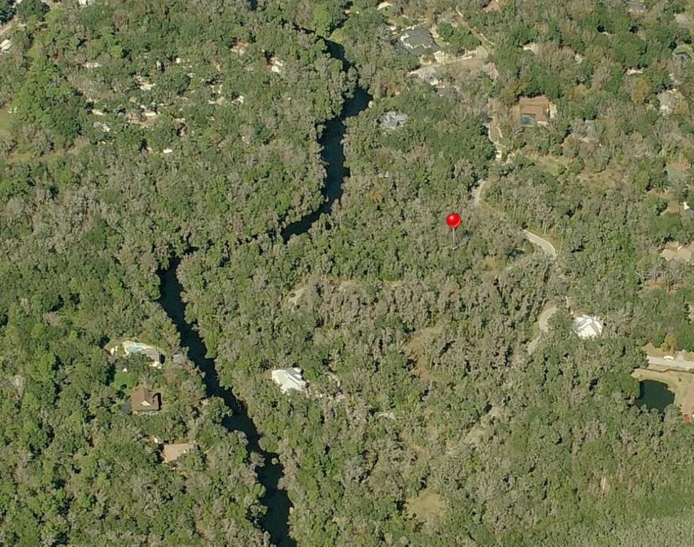 This aerial view shows a wooded residential lot marked with a red pin — 4876 RAMBLING RIVER ROAD, BRANDON, FL