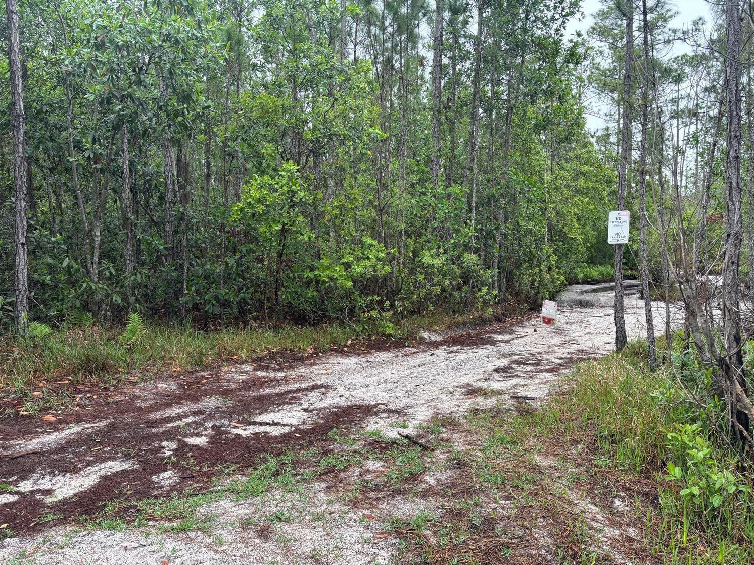 A sandy dirt path leads into a dense forest with a no trespassing sign — 0 Holopaw Groves Road, FL 34772, FL