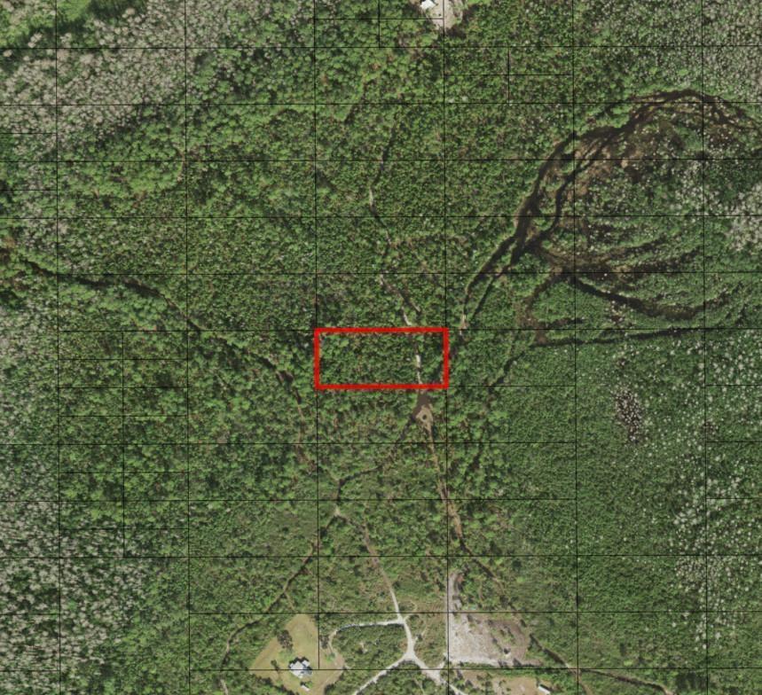 This aerial map shows a rectangular red-outlined property lot surrounded by dense forest and trails — 0 Holopaw Groves Road, FL 34772, FL