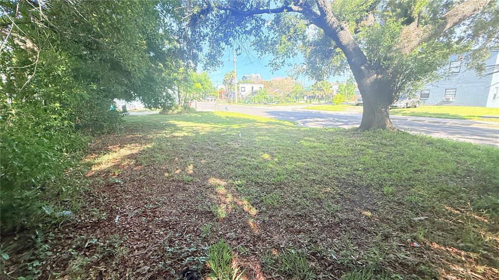 A grassy, tree-shaded vacant lot sits next to a paved road and residential buildings — 202 MCQUIGG AVENUE, ORLANDO, FL
