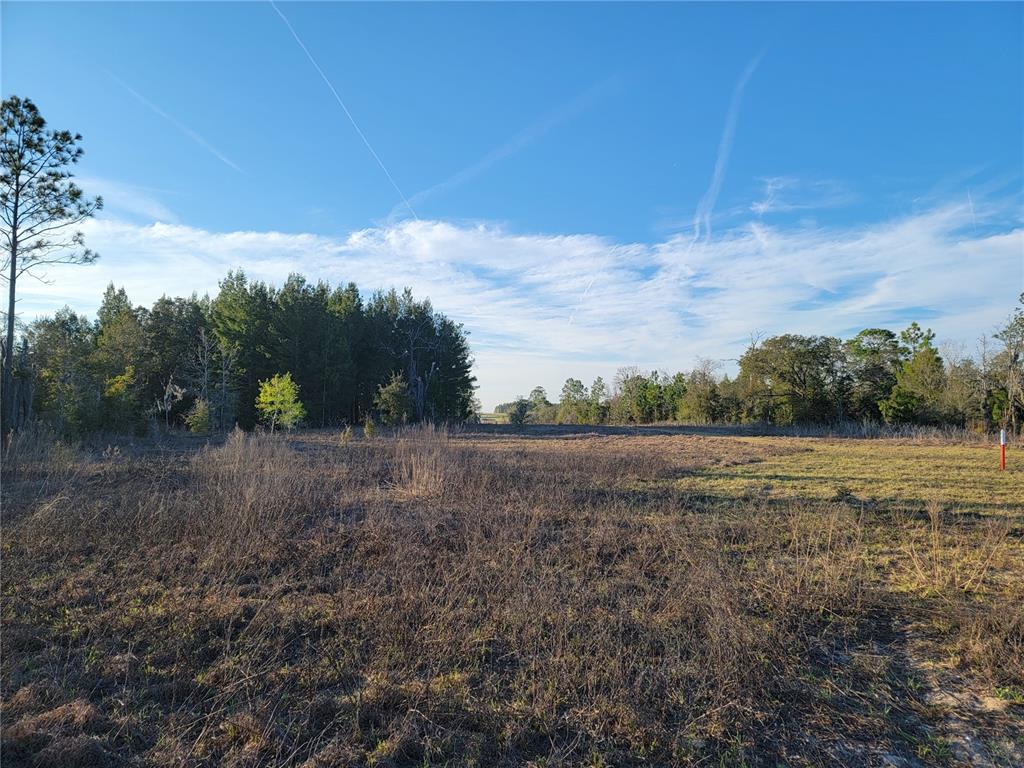 0 NE 20TH STREET, WILLISTON, FL — photo 2 of 16