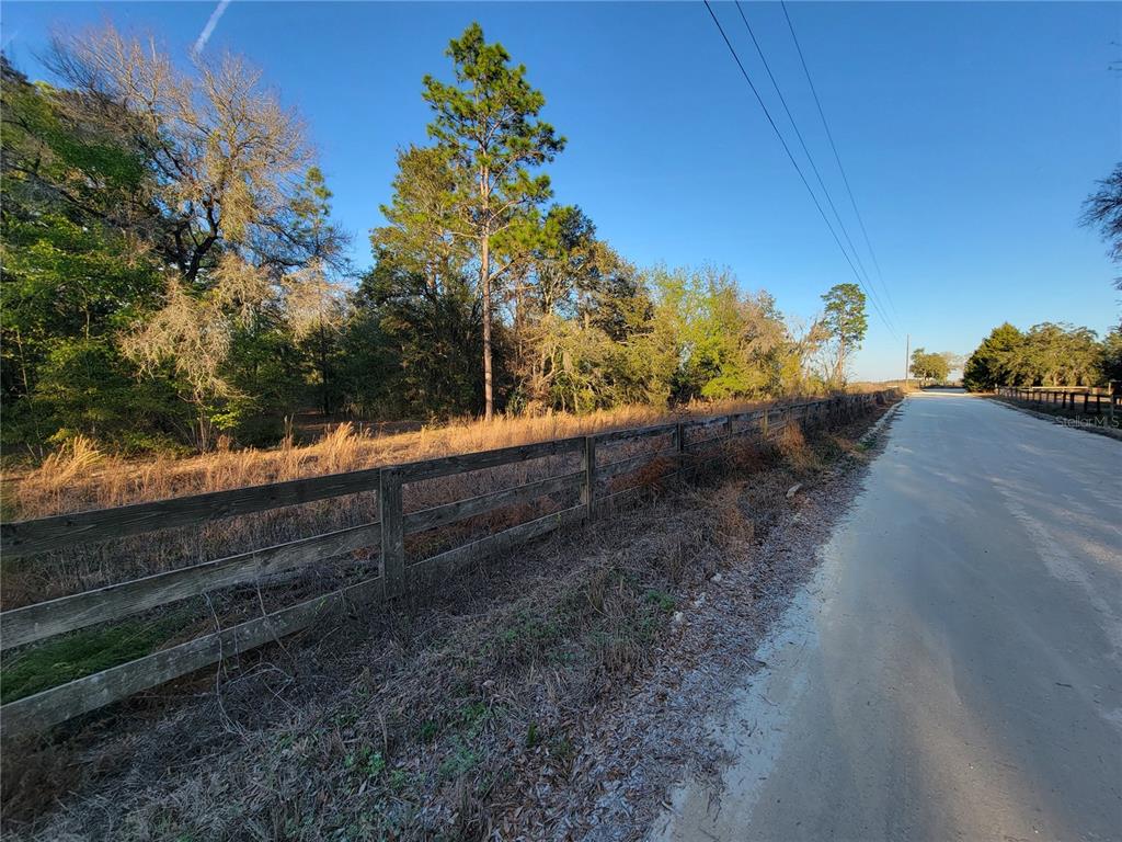 0 NE 20TH STREET, WILLISTON, FL — photo 3 of 16