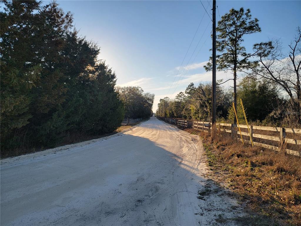 0 NE 20TH STREET, WILLISTON, FL — photo 4 of 16