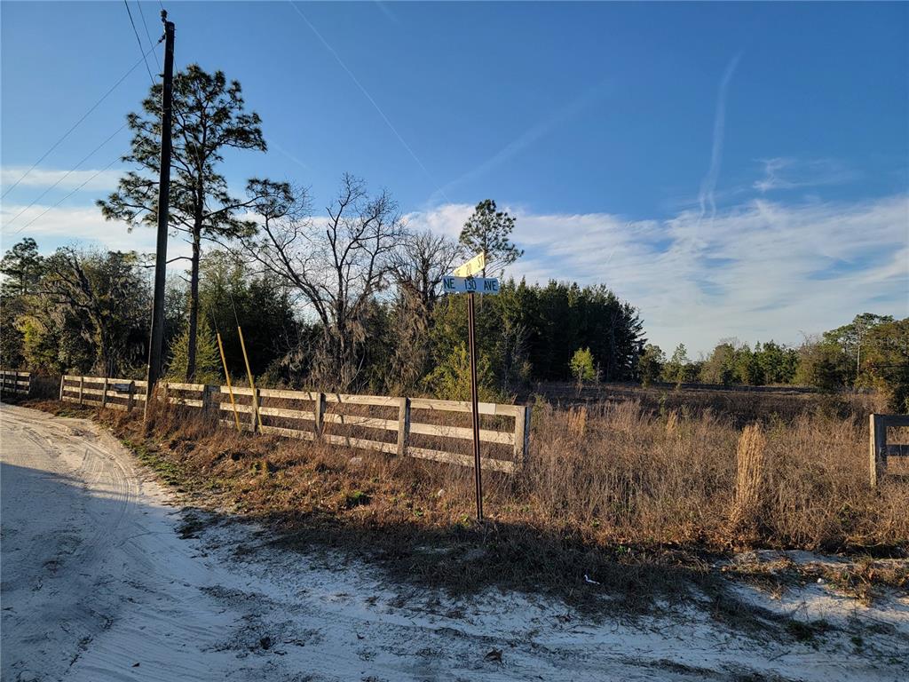 0 NE 20TH STREET, WILLISTON, FL — photo 5 of 16