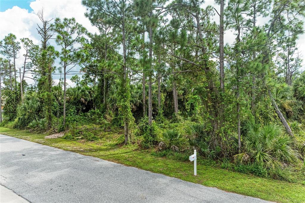 A paved road runs alongside a wooded, undeveloped lot with a single mailbox — 1139164804, 1139164805 FOXGLOVE AVENUE Lot 4, lot 5, NORTH PORT, FL