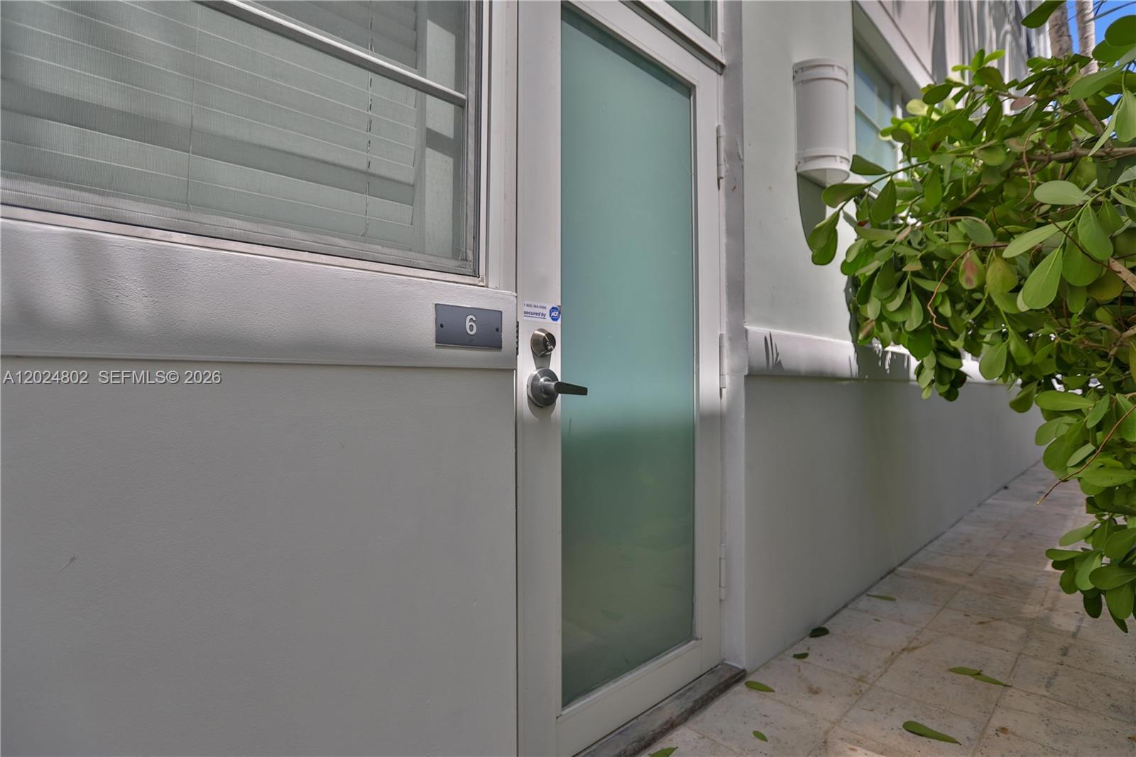 A kitchen with dark wood cabinets, stainless steel appliances, and a polished concrete floor — 935 Euclid Ave # 6, Miami Beach FL 33139, MIAMI BEACH, FL