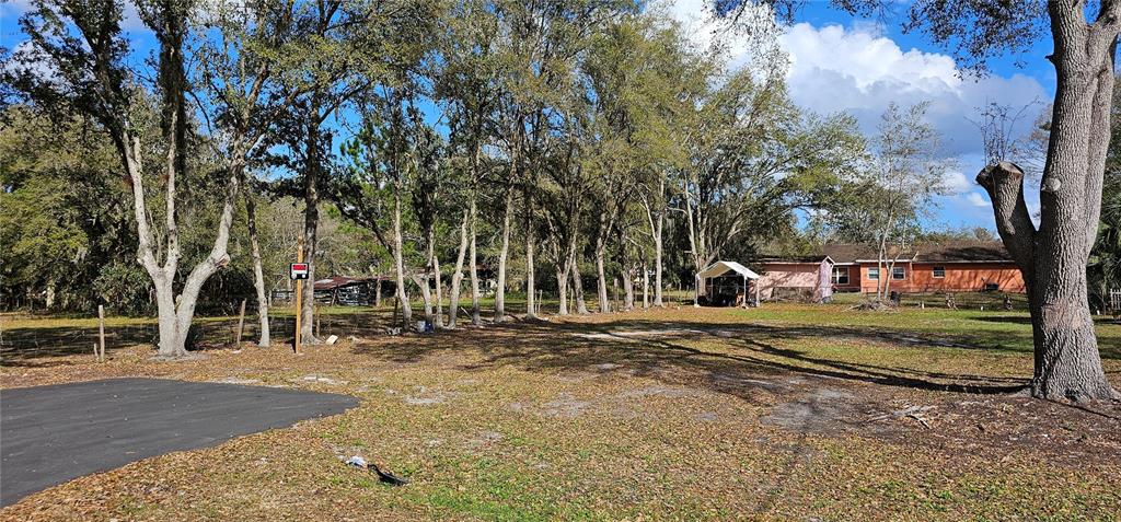 IMMOKALEE STREET, INTERCESSION CITY, FL — photo 3 of 17