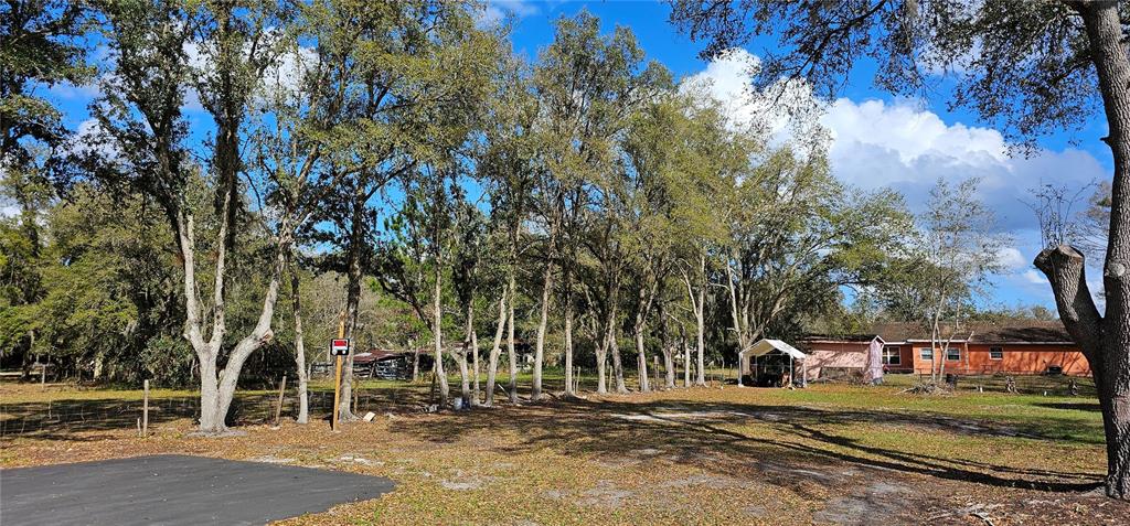 IMMOKALEE STREET, INTERCESSION CITY, FL — photo 4 of 17