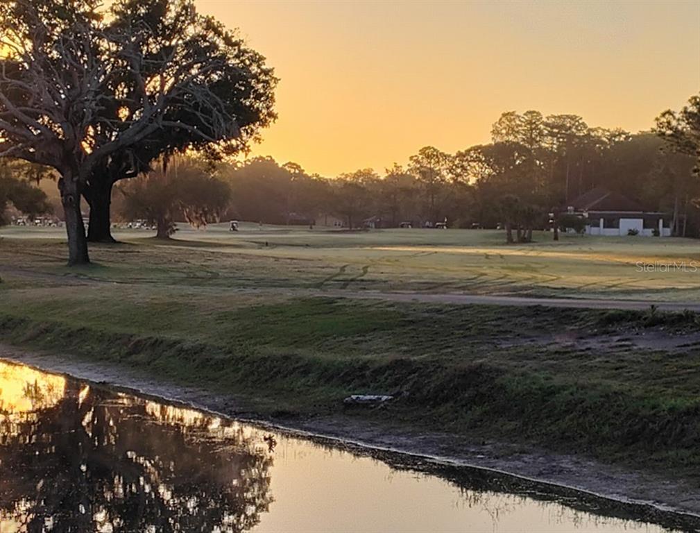A view of a golf course at sunrise with a pond in the foreground — 3549 INDIGO POND DRIVE UNIT 2, PALM HARBOR, FL